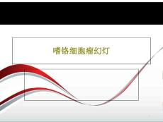 嗜铬细胞瘤-课件