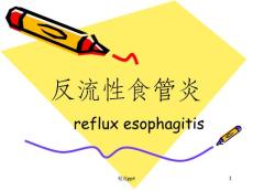 反流性食管炎ppt课件