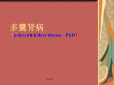 多囊肾病课件