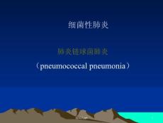 大叶性肺炎医学课件