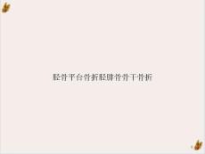 胫骨平台骨折胫腓骨骨干骨折PPT优秀案例课件