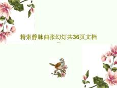 精索静脉曲张ppt课件