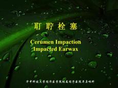耳鼻咽喉—头颈外科课件：耵聍栓塞