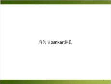 肩关节bankart损伤ppt课件