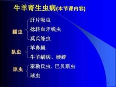 牛羊病寄生虫病课件