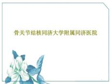 骨关节结核课件