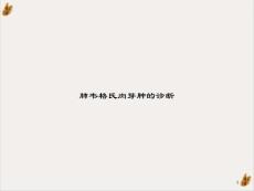 肺韦格氏肉芽肿的诊断讲课ppt课件