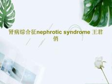 肾病综合征课件