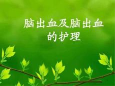 脑出血及脑出血护理课件
