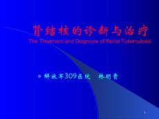 肾结核的诊断治疗课件