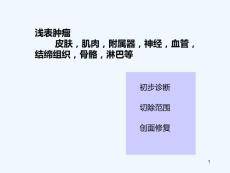 体表三大恶性肿瘤概述课件