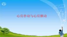 心房扑动与心房颤动 课件