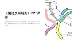 《阑尾及阑尾炎》课件