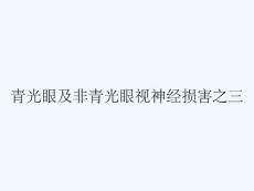 青光眼及非青光眼视神经损害之三