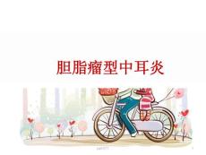 慢性化脓性中耳炎--课件
