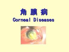 角膜病.ppt