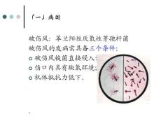破伤风课件