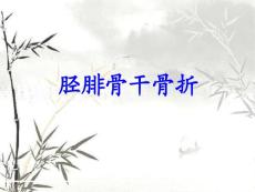 胫腓骨干骨折演示课件