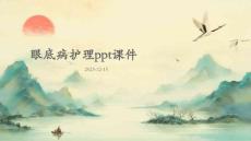 眼底病护理ppt课件