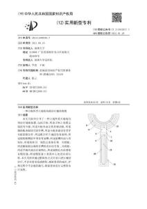 一种大疱性类天疱疮局部治疗辅助装置