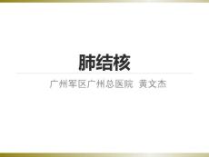 结核病课件
