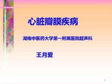 超声学心脏篇（瓣膜疾病）讲解课件