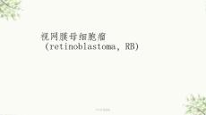 视网膜母细胞瘤影像学表现ppt课件