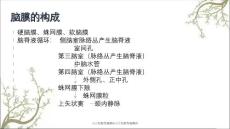 小儿化脓性脑膜炎小儿化脓性脑膜炎.ppt