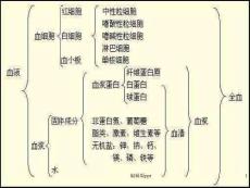 白细胞减少症ppt课件