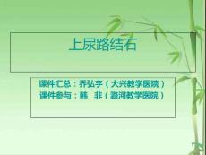 肾结石ppt课件