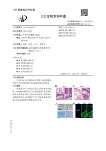 IAA和/或ILA在制备治疗肥胖、局部脂肪堆积及其合并症的药物、食品或护肤品中的用途