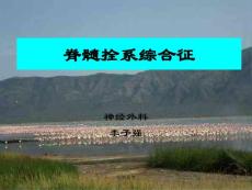 脊髓拴系综合征手术治疗课件