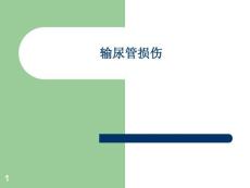 输尿管损伤课件