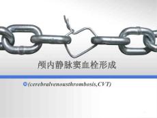 颅内静脉窦血栓形成课件