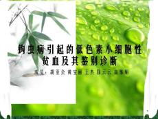 探讨钩虫病引起的低色素小细胞性贫血课件