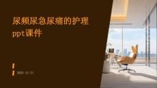 尿频尿急尿痛的护理ppt课件
