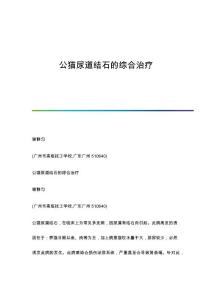 公猫尿道结石的综合治疗
