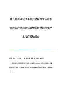 合并室间隔缺损不合并动脉导管未闭及大的主肺动脉侧枝血管的肺动脉闭锁手术治疗经验总结