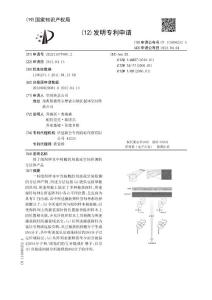 用于组织样本中核酸的局部或空间检测的方法和产品