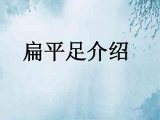扁平足介绍ppt