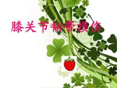膝关节韧带损伤PPT精