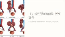 《先天性肾脏畸形》课件