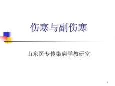 伤寒与副伤寒课件