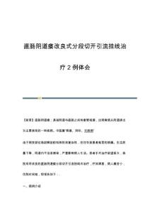 直肠阴道瘘改良式分段切开引流挂线治疗2例体会