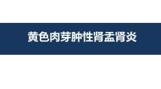 黃色肉芽腫性腎盂腎炎影像診斷