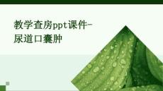 教学查房ppt课件尿道口囊肿