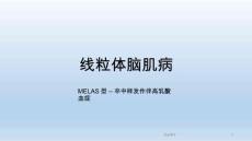 线粒体脑肌病课件