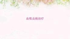 血吸虫病治疗