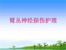 臂丛神经损伤护理课件
