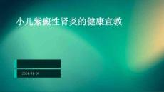 小儿紫癜性肾炎的健康宣教ppt